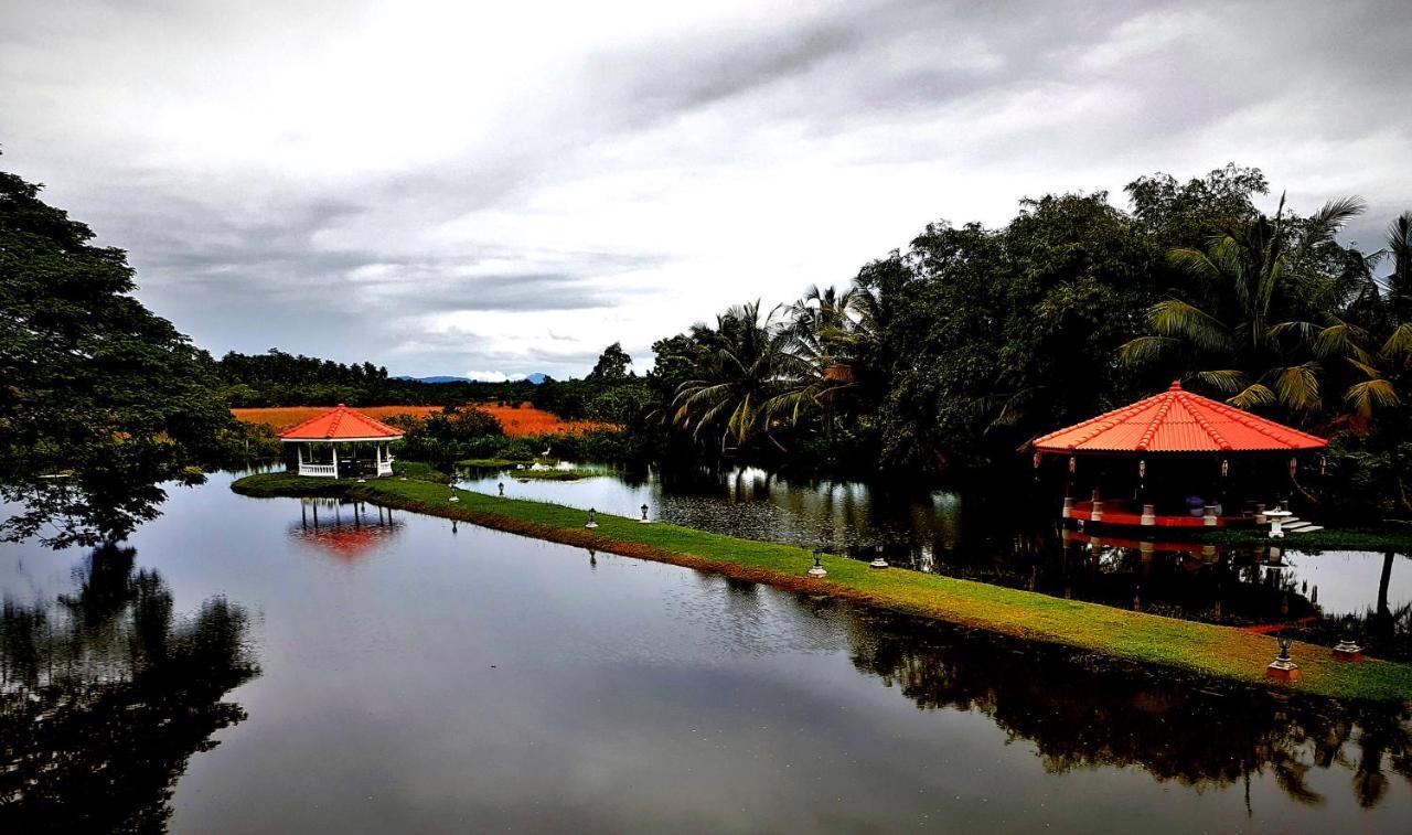 Ayubowan Swiss Lanka Bungalow Resort Bentota Eksteriør billede