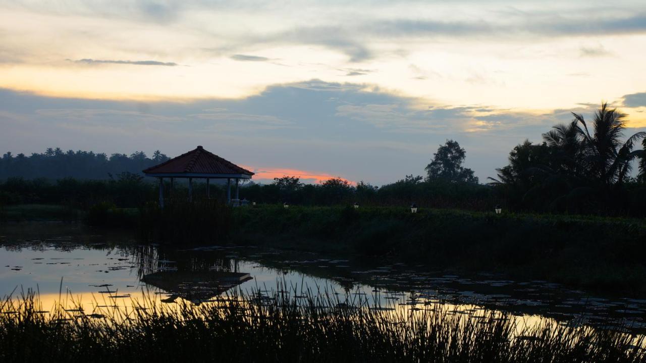 Ayubowan Swiss Lanka Bungalow Resort Bentota Eksteriør billede